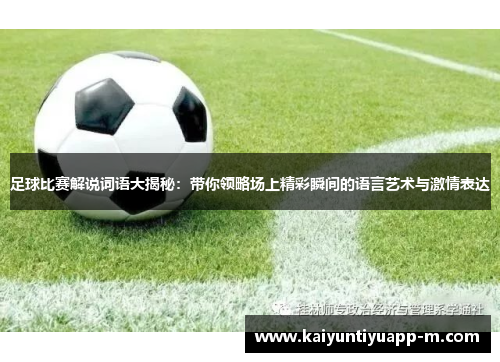 足球比赛解说词语大揭秘：带你领略场上精彩瞬间的语言艺术与激情表达