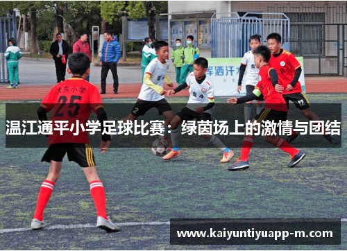 温江通平小学足球比赛：绿茵场上的激情与团结