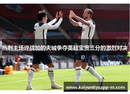 热刺主场迎战加的夫城争夺英超宝贵三分的激烈对决